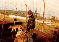 David Training Wolves