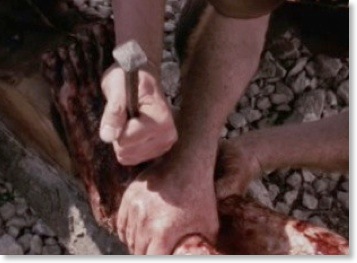 left_foot_wound_Jesus