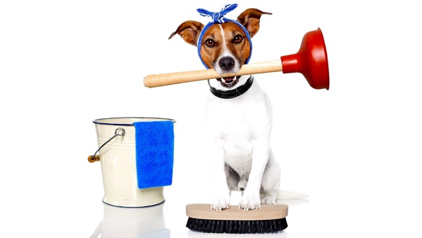 house-cleaning-dogs