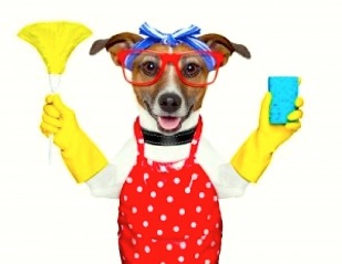 Pets-welcome-cleaning-services-las-vegas